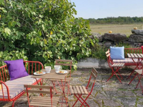 Marsjö Gård Bo & Yoga vandrarhem in Borgholm